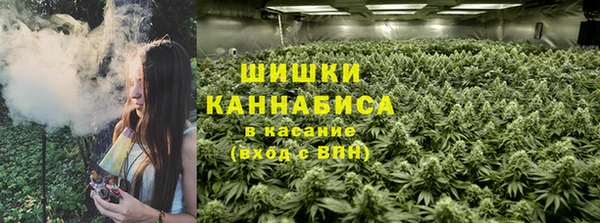 стафф Белокуриха