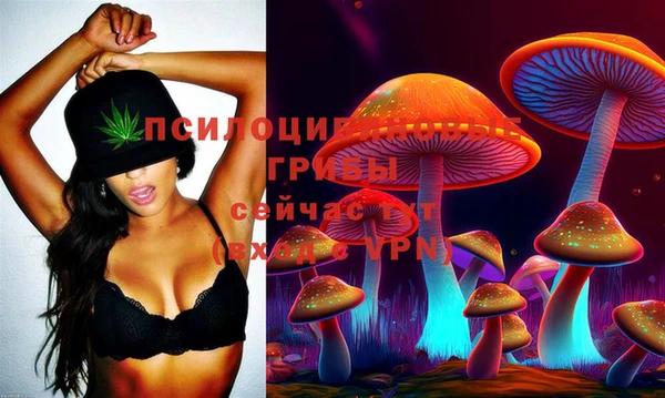 крисы Баксан