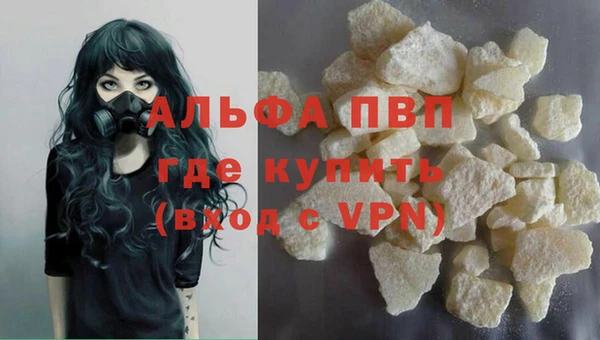 крисы Баксан