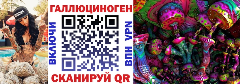 цена   Коркино  blacksprut онион  Галлюциногенные грибы Psilocybine cubensis 